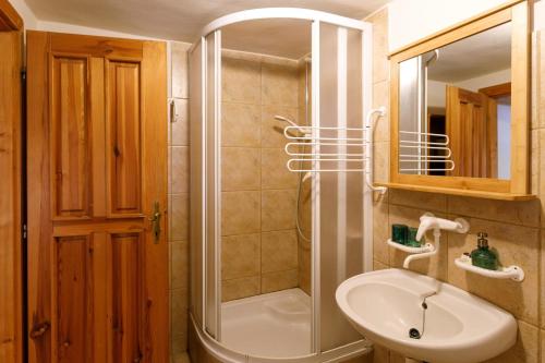 ein Bad mit einer Dusche, einem Waschbecken und einem Spiegel in der Unterkunft Chalupa v Meziluzi in Meziluží