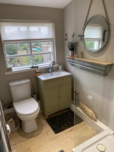 a bathroom with a toilet and a sink and a mirror at Sea Hollies in Aberdour