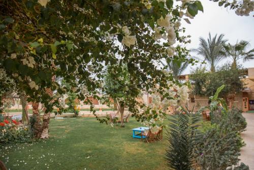 a garden with trees and plants in a yard at Zad El Mosafer Guest House in Tunis