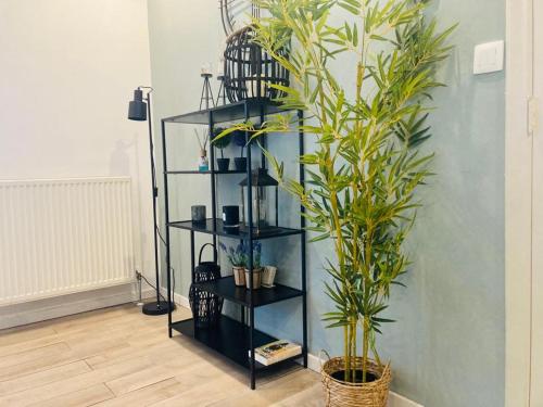a black book shelf with potted plants in a room at Maison de vacances privative à louer in Aywaille
