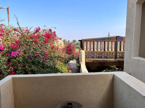 a view of a garden with pink flowers and a building at Zad El Mosafer Guest House in Tunis