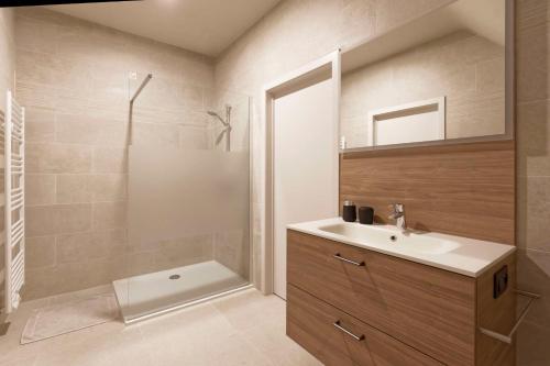 une salle de bain avec un lavabo et une douche dans l'établissement Wijndomein Zwaeneberg, à Fourons