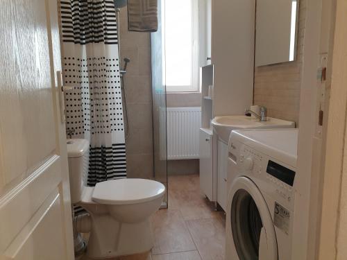 La salle de bains est pourvue de toilettes, d'un lavabo et d'un lave-linge. dans l'établissement Apartamente la rezidenta noua ideale vacanze job etc, à Chişoda