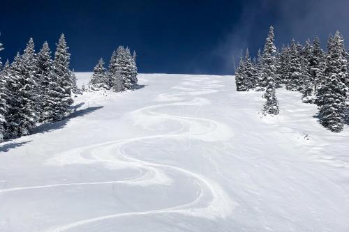 a snow covered slope with trees on top of it at Ten Mile Haus in Frisco