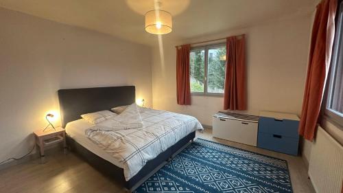 - une chambre avec un lit et un tapis bleu dans l'établissement Gîte Le Pingu - spacieux, calme, plein sud - cabine sauna - 8 personnes, à La Bresse