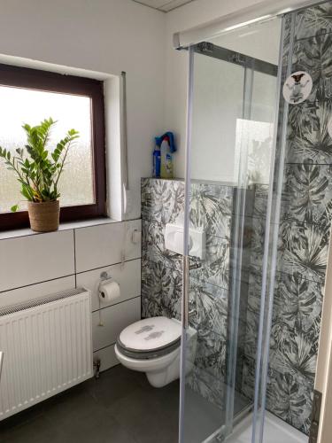 a bathroom with a toilet and a glass shower at Gemütliche Ferienwohnung auf dem Land in Bockenau