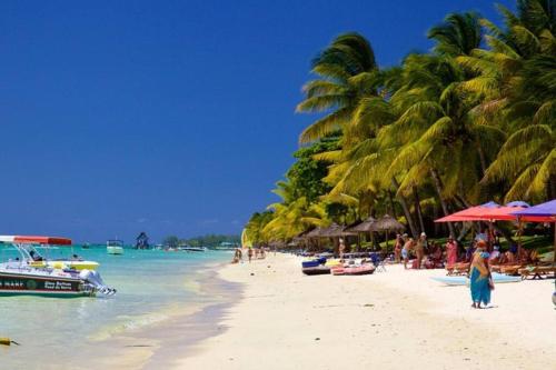 un gruppo di persone su una spiaggia con palme di Lovely 2-bedroom condo close to the beach… a Trou aux Biches