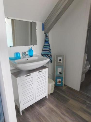 une salle de bain avec un lavabo blanc et des toilettes dans l'établissement MAISON VACANCES VUE MER 500 m PLAGE, à Saint-Cast-le-Guildo