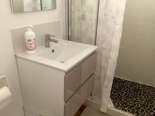 a white bathroom with a sink and a shower at VILLA ALIZÉE Logement 3 in Sainte-Rose