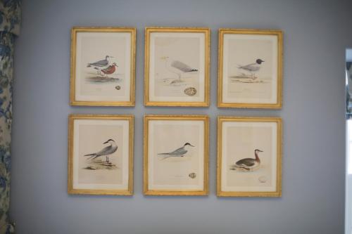 quatre images encadrées d’oiseaux sur un mur dans l'établissement The Granary Lodge Bed & Breakfast, à Thurso