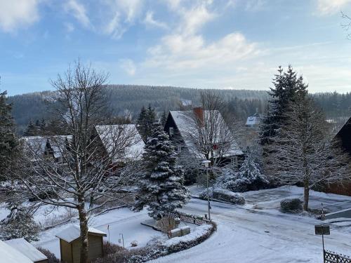 a snow covered village with trees and houses at Gipfel Lounge in Hahnenklee-Bockswiese