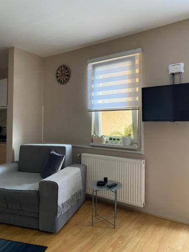 TV a/nebo společenská místnost v ubytování Apartman Stojadinović