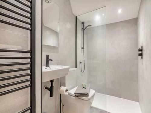 a bathroom with a toilet and a sink and a shower at Stoney Nook Cottage in Guisborough