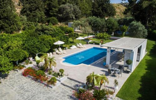 an overhead view of a swimming pool in a garden at Antigone Estate in Koskinou