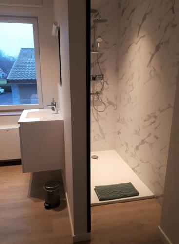 a bathroom with a sink and a shower at Fluithoekhoeve in Koksijde