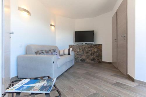 TV a/nebo společenská místnost v ubytování Le SAN PETRONE-TOUR EN PIERRE EN CENTRE CORSE ENTRE MER ET MONTAGNE