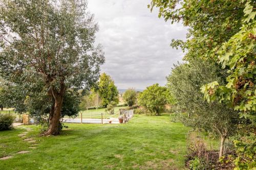 ein Park mit einem Baum und einer Bank im Gras in der Unterkunft Idyllic 2- Bedroom barn with amazing views in Cranbrook