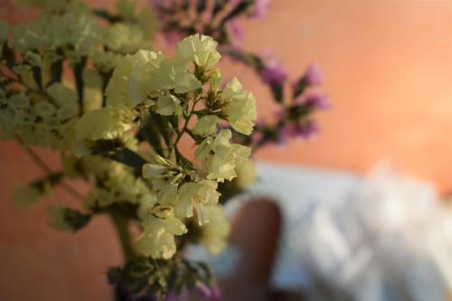 a vase filled with green and purple flowers at Hostel il Tetto in Melfi