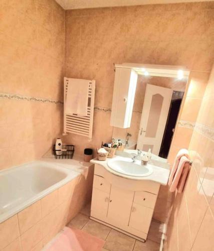 une salle de bain avec une baignoire et un lavabo et une baignoire dans l'établissement Joli duplex cocooning de 100m2 avec Rez de jardin, à Feyzin