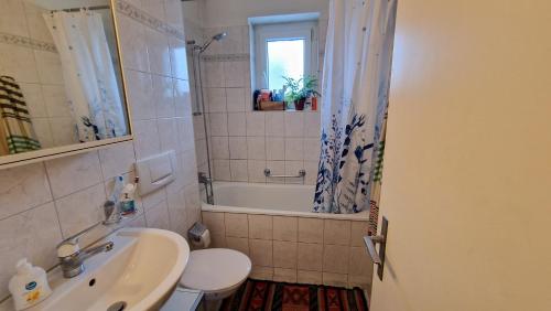 ein Bad mit einem Waschbecken, einem WC und einer Dusche in der Unterkunft Cozy Private Room in The Heart Of Zürich City in Zürich