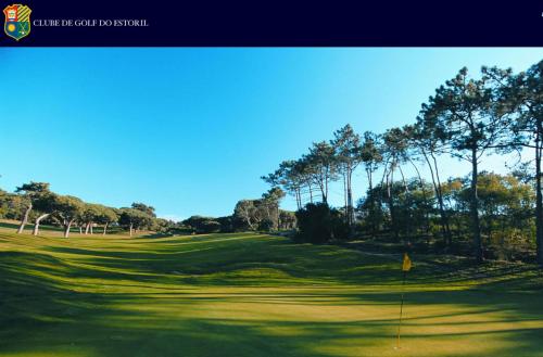 uma vista para um campo de golfe com palmeiras em Elite House Estoril em Estoril