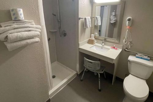 a bathroom with a toilet and a sink and a shower at Econo Lodge Cartersville-Emerson Lake Point in Cartersville