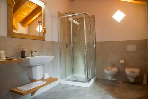 a bathroom with a shower and a sink and a toilet at Alpen Chalet in Schilpario