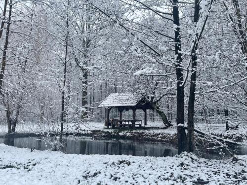 a gazebo in the snow next to a river at Ranch Falcone in Hrvatska Dubica