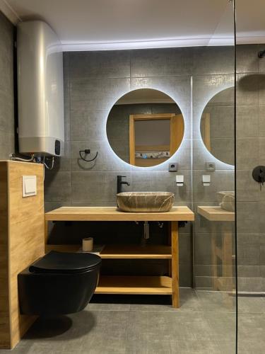 a bathroom with a sink and a toilet and a mirror at Ranch Falcone in Hrvatska Dubica