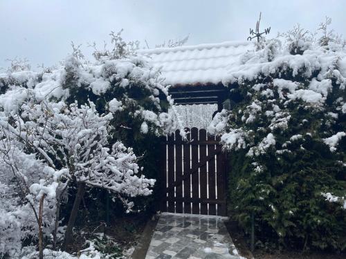 a house with a gate covered in snow at Ranch Falcone in Hrvatska Dubica