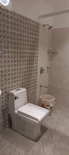 ein Badezimmer mit einem weißen WC und einer Dusche in der Unterkunft Pibo Homestay in Port Blair
