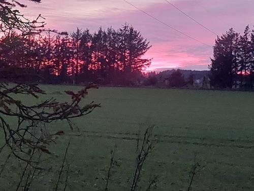 a green field with a sunset in the background at KRAGKAER Deer-Lodge B&B & Guest House - Unique Holiday Homes in Sæby