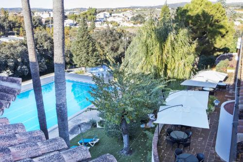 an aerial view of a pool with palm trees at Hotel Tugasa El Almendral in Setenil