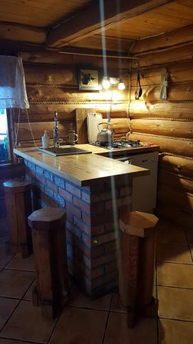 a kitchen with a counter in a log cabin at Dzika Chata in Nowy Barkoczyn