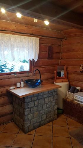 ein Badezimmer mit einem Waschbecken in einer Blockhütte in der Unterkunft Dzika Chata in Nowy Barkoczyn