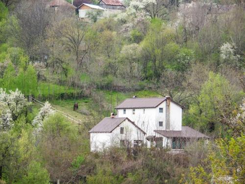 um grande edifício branco numa colina com árvores em Casa Piscul Lupului em Pucioasa