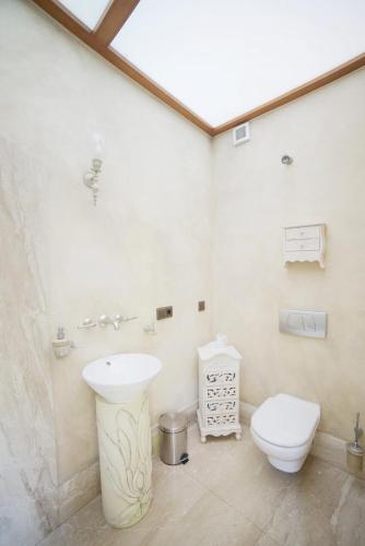 a bathroom with a sink and a toilet at Top Mountain Villa in Wisła