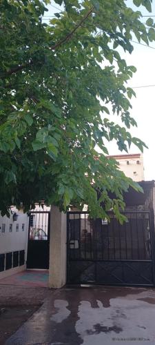 Φωτογραφία από το άλμπουμ του MENDOZA VIÑA Y SOL cochera propia σε Guaymallen