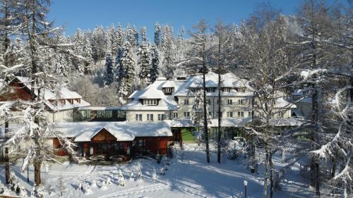 a large house covered in snow in the woods at Aries Hotel & SPA Wisła in Wisła