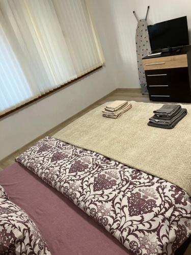 1 dormitorio con 1 cama y vestidor con TV en Апартамент Рая en Devin