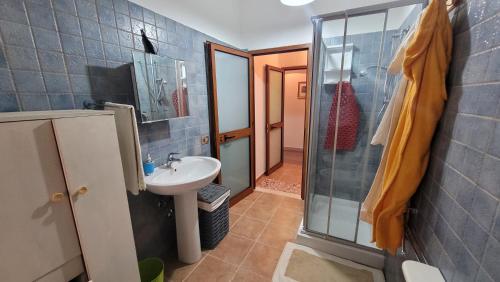y baño pequeño con lavabo y ducha. en Holiday Maria Luisa, en Galtellì