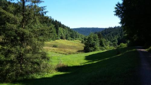 a green field with trees on the side of a road at Meisterhaus Alpirsbach Loft in Alpirsbach