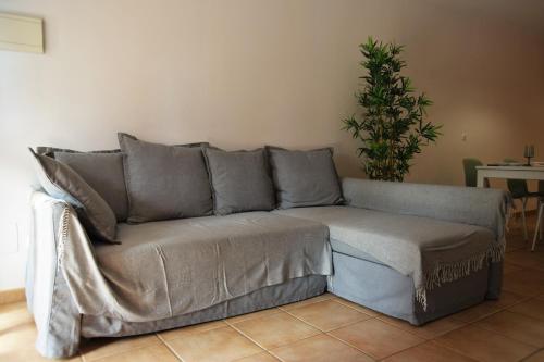 a grey couch in a living room with a plant at Sotavento Tejita, terrace and beach in La Tejita
