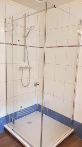 a shower with a glass door in a bathroom at Alpin Appart Reiterhof in Niederthai