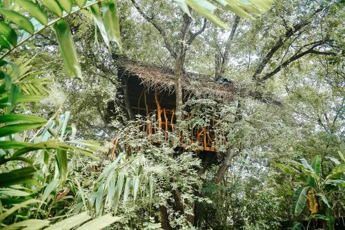 a tree house in the middle of the forest at Dudley Nature Resort in Habarana