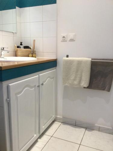 een witte badkamer met een wastafel en een handdoek bij Les barbots in Saint-Louis