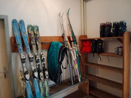 Fotografie z fotogalerie ubytování Dachstein Apartments v Obertraunu