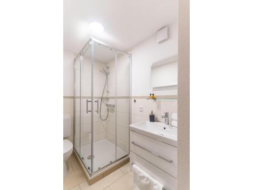 a bathroom with a shower and a sink at Finkenhof in Schluchsee