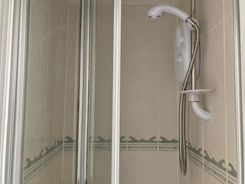 La salle de bains est pourvue d'une douche avec un pommeau de douche. dans l'établissement Grey Mullet Guest House, à St Ives