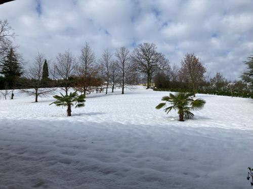 Gallery image of LaLo Holiday House in Marano sul Panaro